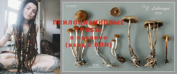 тгк Алексин