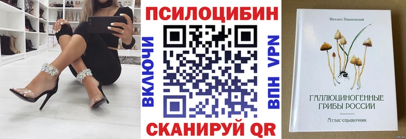 Псилоцибиновые грибы Psilocybine cubensis Сасово